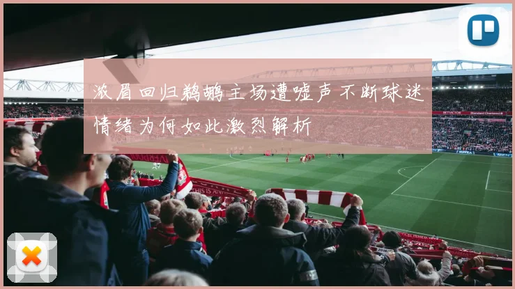浓眉回归鹈鹕主场遭嘘声不断球迷情绪为何如此激烈解析