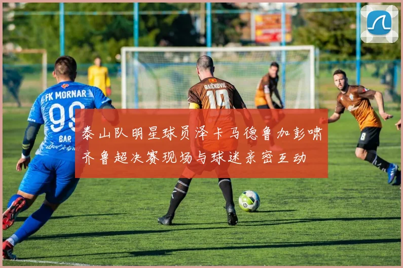 泰山队明星球员泽卡马德鲁加彭啸齐鲁超决赛现场与球迷亲密互动